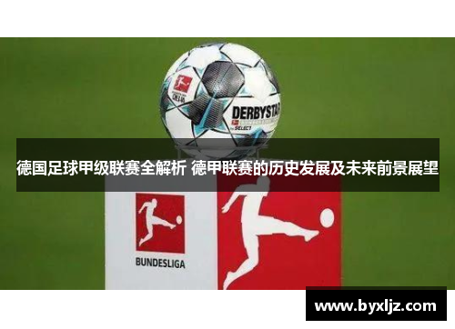 德国足球甲级联赛全解析 德甲联赛的历史发展及未来前景展望