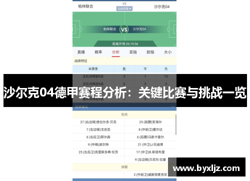 沙尔克04德甲赛程分析：关键比赛与挑战一览