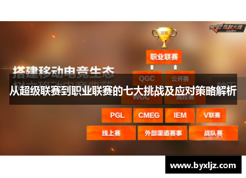 从超级联赛到职业联赛的七大挑战及应对策略解析